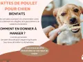 Un chien mignon mâchouille une patte de poulet. Les pattes de poulet pour chien sont bénéfiques, mais il faut faire attention au danger. Les offrir déshydratées réduit les risques.