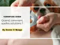 Main d'une personne sortant un comprimé de vermifuge chien d'une plaquette, pour son compagnon à quatre pattes.