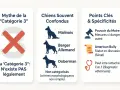 Le malinois, souvent confondu, n'est pas légalement en "Catégorie 3". L'image clarifie les mythes et les spécificités.