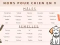 Liste de prénoms pour chien en V, mâles et femelles. Un chiot porte un masque de Guy Fawkes.