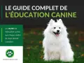 Un chien blanc heureux, assis dans l'herbe. Le guide complet de l'éducation canine. Est-ce que les chiens pensent ?