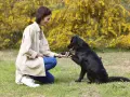 Une femme accroupie félicite son chien noir pour son obéissance. Le chien lui donne la patte, souriant.