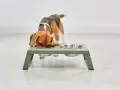 Un beagle mange dans une gamelle surélevée. Attention, une gamelle surélevée chien danger pour les chiens qui mangent trop vite.