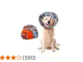 Un adorable golden retriever porte une collerette décorée de fusées. À côté, une autre collerette pliée.
