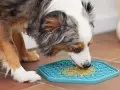 Un chien savoure du beurre de cacahuète sur un tapis de léchage bleu. Un excellent moyen de divertir votre chien, voici mon tapis de léchage chien avis.