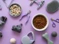 Le top 20 des accessoires indispensables pour chien : croquettes, friandises, laisse, harnais, jouets, coupe-ongles, brosse, distributeur de sacs.