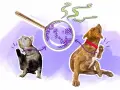 Un chat et un chien se grattent, sous une loupe, des levures de malassezia chien sont visibles, suggérant une cause d'irritation.