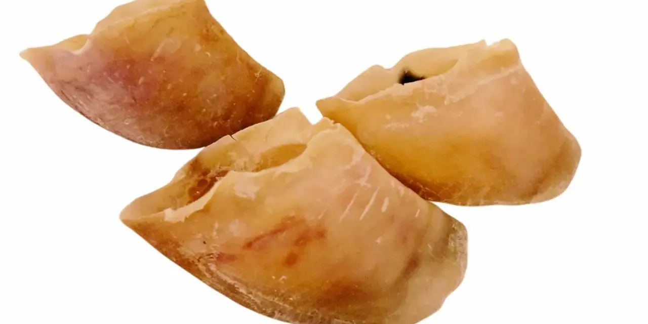 Trois sabots de veau séchés, un danger potentiel pour les chiens s'ils ne sont pas surveillés.