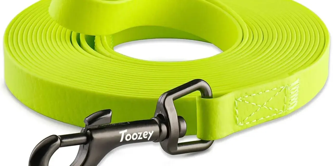 Laisse de chien verte fluo de 10m, avec mousqueton noir. Idéale pour les promenades et l'éducation de votre compagnon.