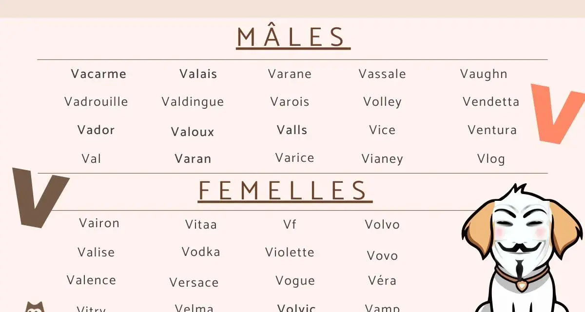 Liste de prénoms pour chien en V, mâles et femelles. Un chiot porte un masque de Guy Fawkes.