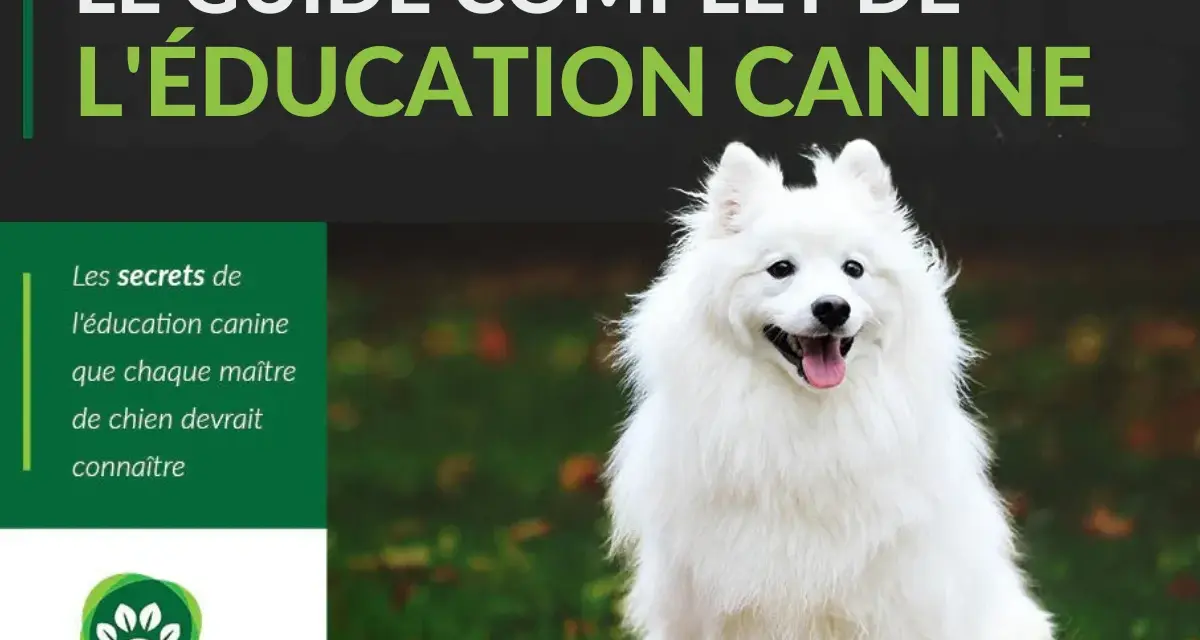 Un chien blanc heureux, assis dans l'herbe. Le guide complet de l'éducation canine. Est-ce que les chiens pensent ?
