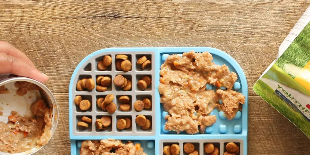 Préparation d'un tapis de léchage pour chien : croquettes et pâtée sont disposées dans les compartiments.