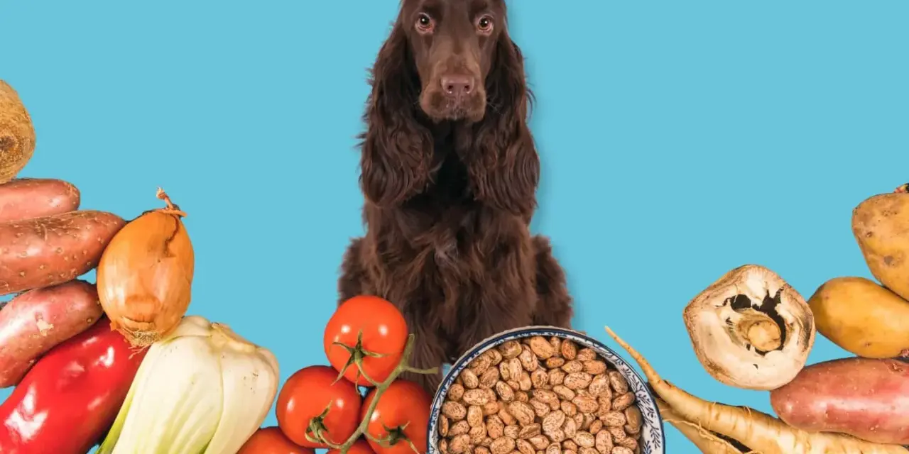 Un chien brun entouré de légumes frais et de haricots, prêts pour une alimentation saine.
