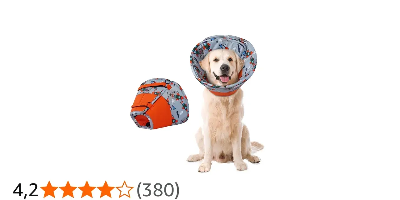 Un adorable golden retriever porte une collerette décorée de fusées. À côté, une autre collerette pliée.