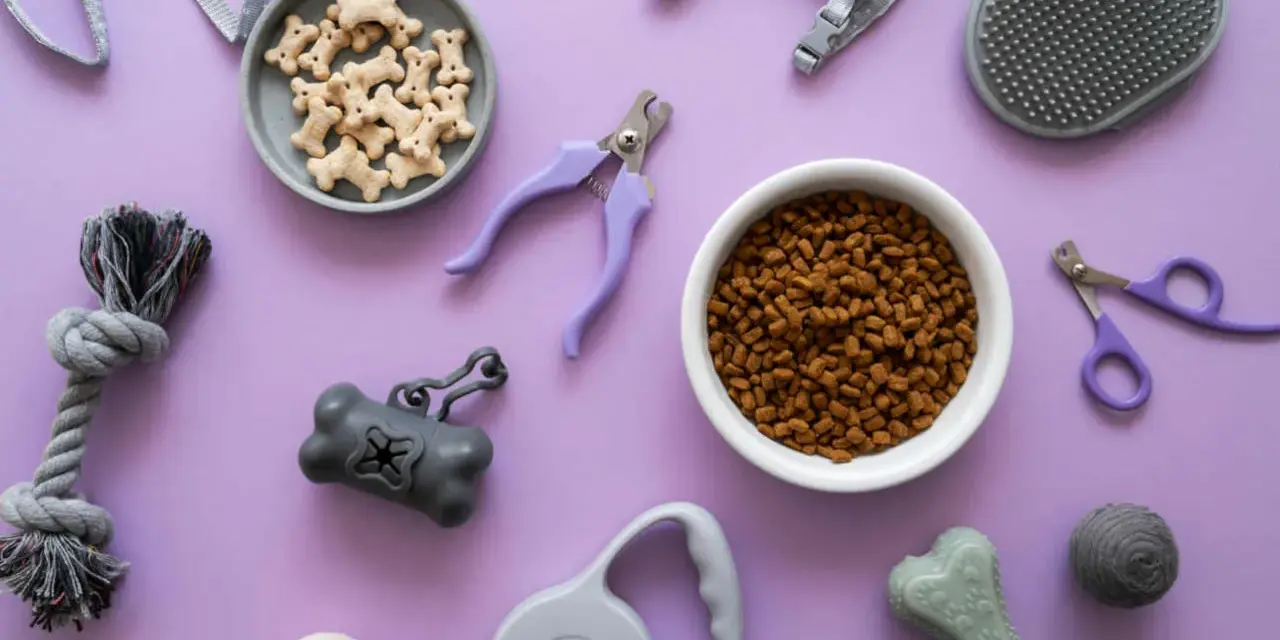 Le top 20 des accessoires indispensables pour chien : croquettes, friandises, laisse, harnais, jouets, coupe-ongles, brosse, distributeur de sacs.