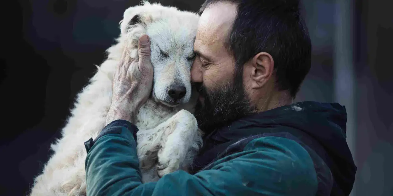 Un homme barbu enlace tendrement un chien blanc aux yeux fermés. Un moment de pur candilat chien.