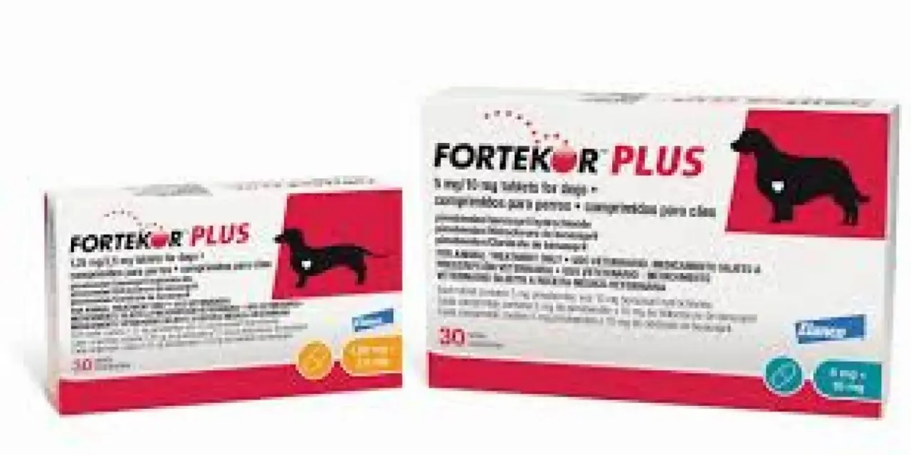 Deux boîtes de Fortekor Plus, un médicament vétérinaire pour chien.