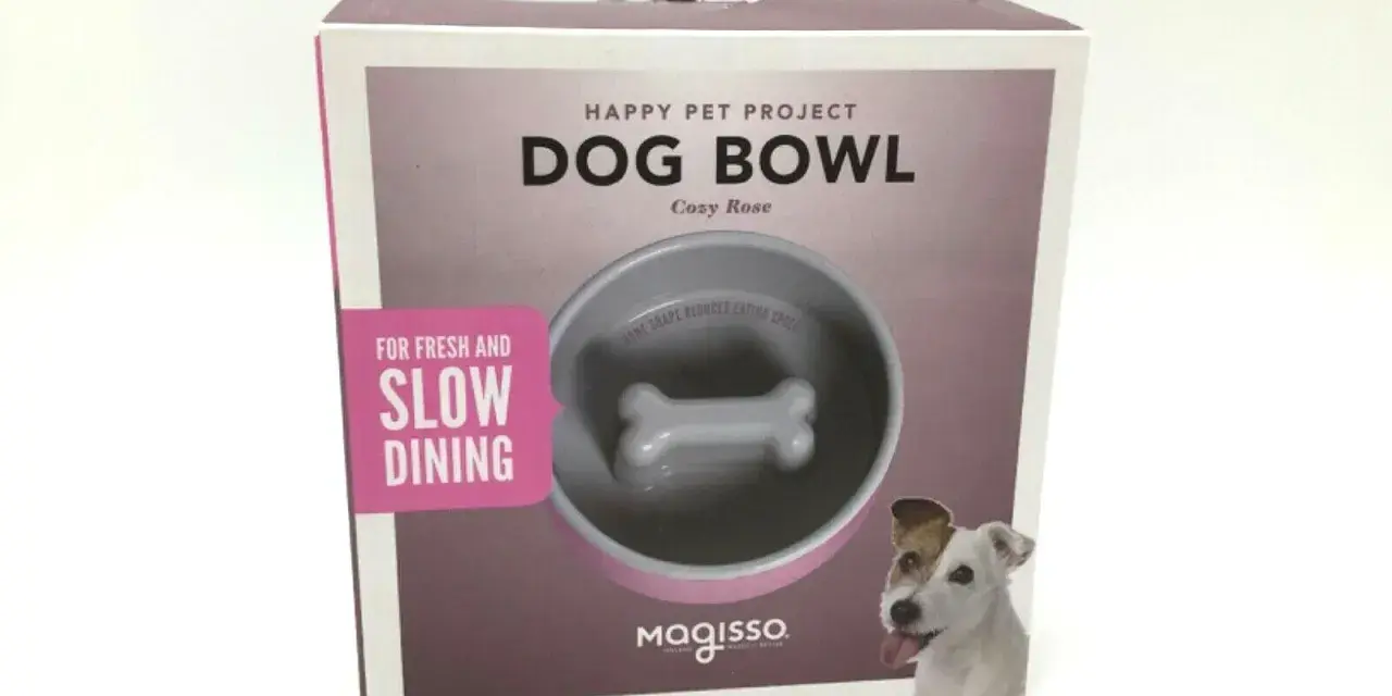 Boîte de jeu gamelle pour chien Magisso, avec un design en forme d'os pour ralentir l'ingestion. Un chien joyeux regarde.