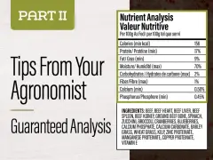 Analyse nutritive d'un aliment pour animaux, indiquant 17% de protéine brute, avec des conseils d'agronome.