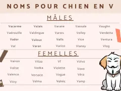 Liste de prénoms pour chien en V, mâles et femelles. Un chiot porte un masque de Guy Fawkes.