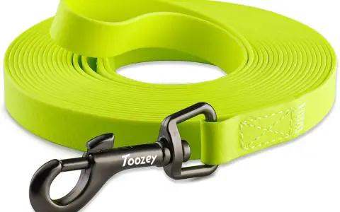 Laisse de chien verte fluo de 10m, avec mousqueton noir. Idéale pour les promenades et l'éducation de votre compagnon.