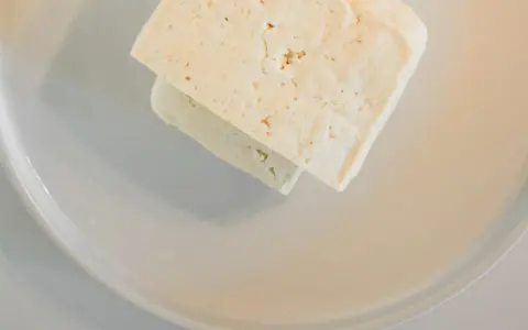 Deux blocs de feta sur une assiette grise. Un chien pourrait adorer ce fromage, mais il est destiné à une salade.