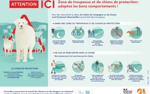 Un chien de protection veille sur son troupeau. Respectez sa zone et ses règles pour votre sécurité.