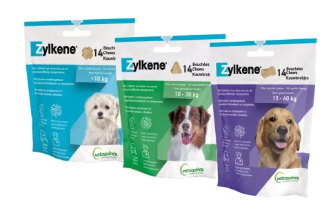 Trois paquets de Zylkène pour chiens, avec des photos de chiens. Le produit aide à calmer les chiens. Zylkène effet au bout de combien de temps ?