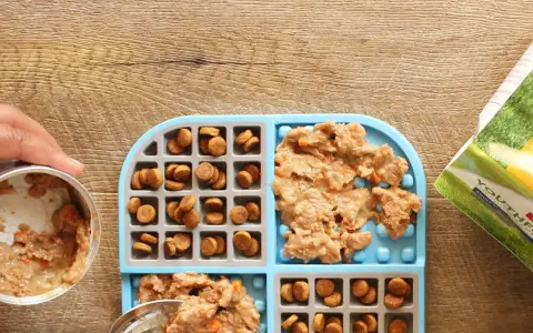 Préparation d'un tapis de léchage pour chien : croquettes et pâtée sont disposées dans les compartiments.
