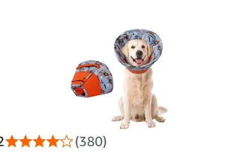 Un adorable golden retriever porte une collerette décorée de fusées. À côté, une autre collerette pliée.