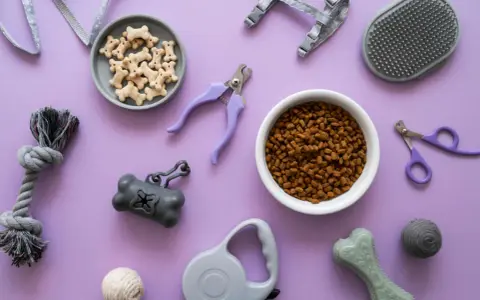 Le top 20 des accessoires indispensables pour chien : croquettes, friandises, laisse, harnais, jouets, coupe-ongles, brosse, distributeur de sacs.