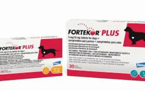 Deux boîtes de Fortekor Plus, un médicament vétérinaire pour chien.