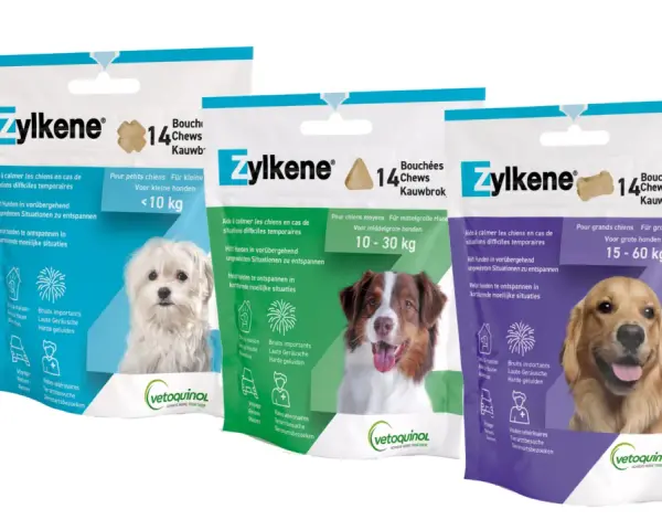 Trois paquets de Zylkène pour chiens, avec des photos de chiens. Le produit aide à calmer les chiens. Zylkène effet au bout de combien de temps ?