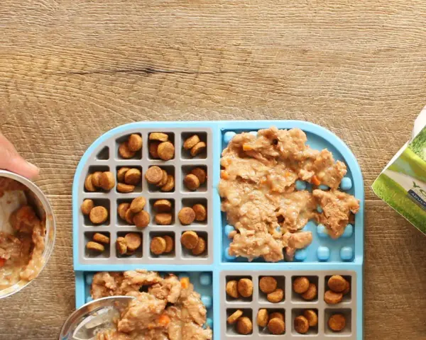 Préparation d'un tapis de léchage pour chien : croquettes et pâtée sont disposées dans les compartiments.