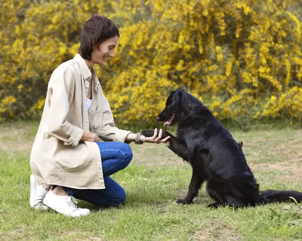 Une femme accroupie félicite son chien noir pour son obéissance. Le chien lui donne la patte, souriant.