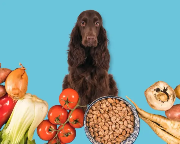 Un chien brun entouré de légumes frais et de haricots, prêts pour une alimentation saine.