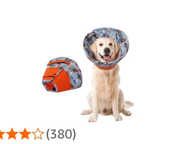 Un adorable golden retriever porte une collerette décorée de fusées. À côté, une autre collerette pliée.