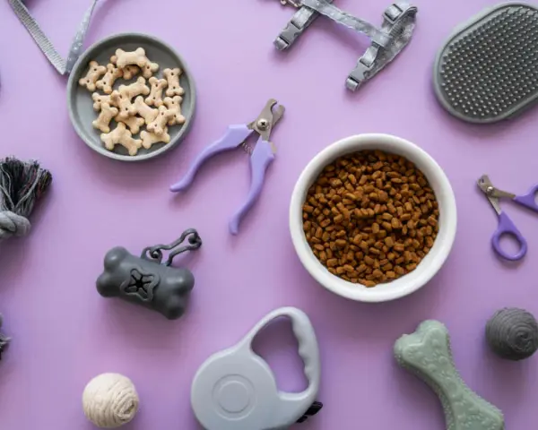 Le top 20 des accessoires indispensables pour chien : croquettes, friandises, laisse, harnais, jouets, coupe-ongles, brosse, distributeur de sacs.