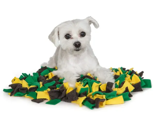Un petit chien blanc est allongé sur un tapis de recherche pour chien aux couleurs vives, vert, jaune et gris.