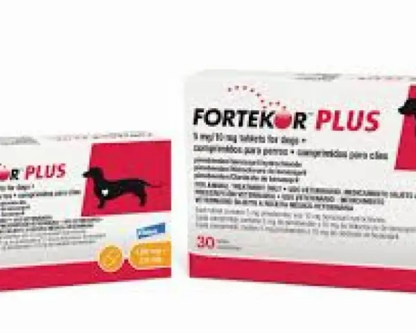 Deux boîtes de Fortekor Plus, un médicament vétérinaire pour chien.