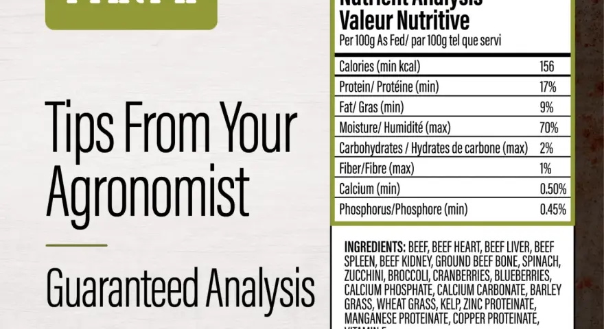 Analyse nutritive d'un aliment pour animaux, indiquant 17% de protéine brute, avec des conseils d'agronome.