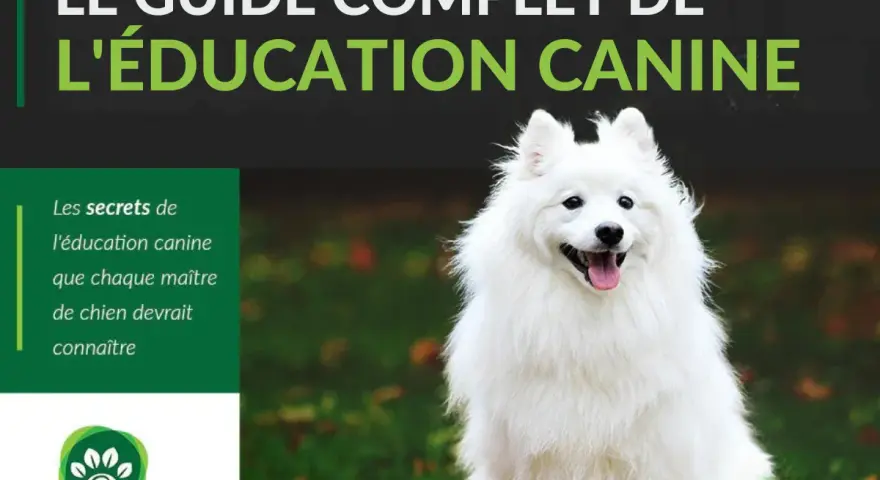 Un chien blanc heureux, assis dans l'herbe. Le guide complet de l'éducation canine. Est-ce que les chiens pensent ?