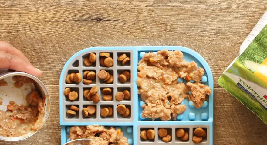 Préparation d'un tapis de léchage pour chien : croquettes et pâtée sont disposées dans les compartiments.