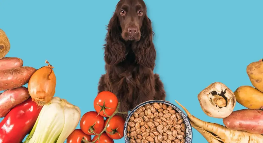 Un chien brun entouré de légumes frais et de haricots, prêts pour une alimentation saine.