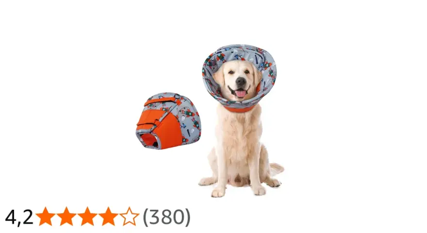 Un adorable golden retriever porte une collerette décorée de fusées. À côté, une autre collerette pliée.