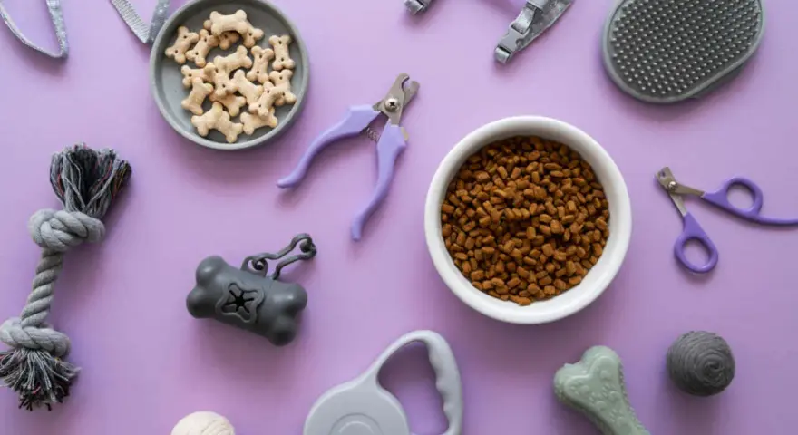 Le top 20 des accessoires indispensables pour chien : croquettes, friandises, laisse, harnais, jouets, coupe-ongles, brosse, distributeur de sacs.