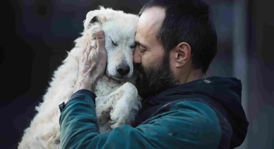 Un homme barbu enlace tendrement un chien blanc aux yeux fermés. Un moment de pur candilat chien.