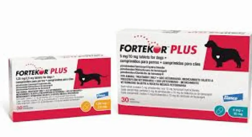 Deux boîtes de Fortekor Plus, un médicament vétérinaire pour chien.