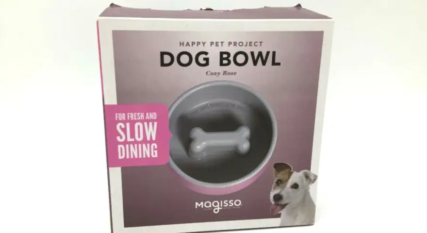 Boîte de jeu gamelle pour chien Magisso, avec un design en forme d'os pour ralentir l'ingestion. Un chien joyeux regarde.