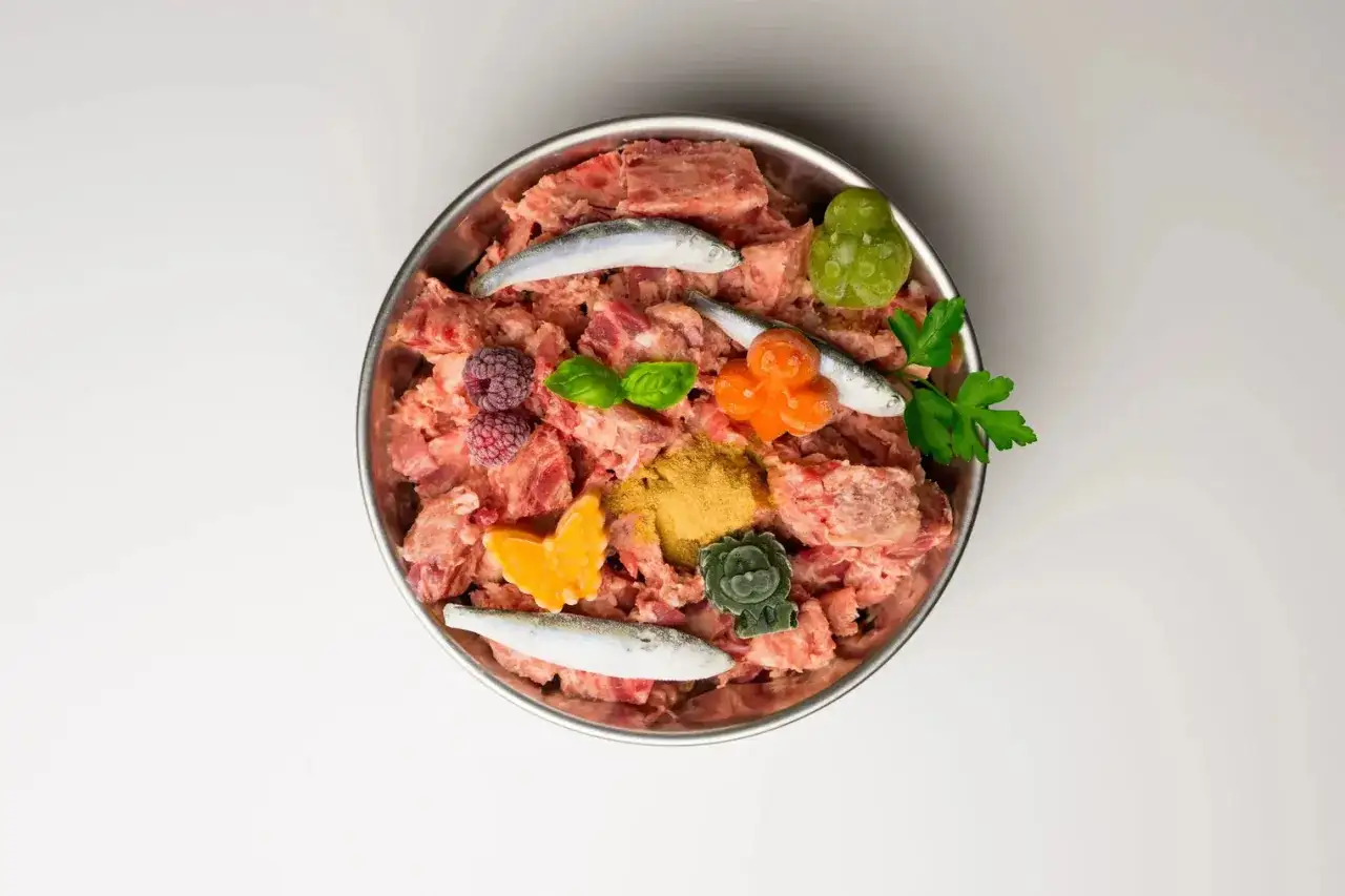 Un bol de viande crue pour chien, garni de poissons, framboises, carottes, et formes amusantes. C'est ça que veut dire BARF pour nos amis à quatre pattes !